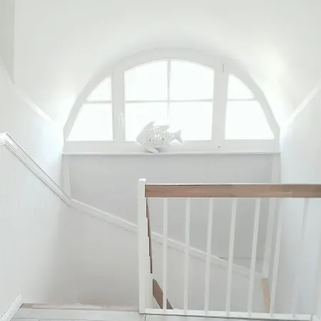 Lejlighed Strandhafer - Im Schwalzkiefernwald Zwischen Ostsee Und Bodden *