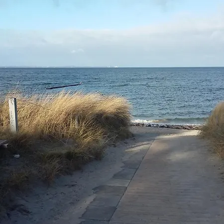 Strandhafer - Im Schwalzkiefernwald Zwischen Ostsee Und Bodden Lejlighed *