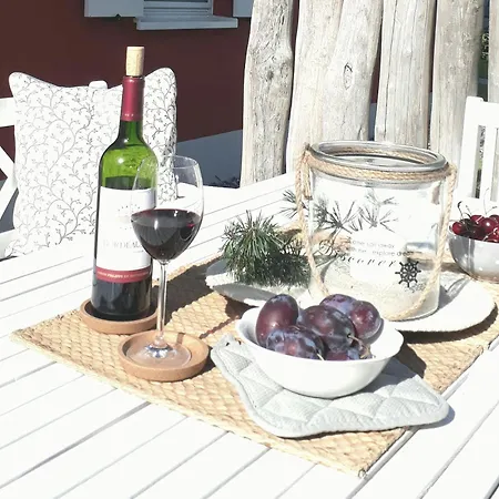 Strandhafer - Im Schwalzkiefernwald Zwischen Ostsee Und Bodden *