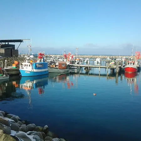 Strandhafer - Im Schwalzkiefernwald Zwischen Ostsee Und Bodden グロヴェ