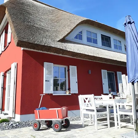 Strandhafer - Im Schwalzkiefernwald Zwischen Ostsee Und Bodden *