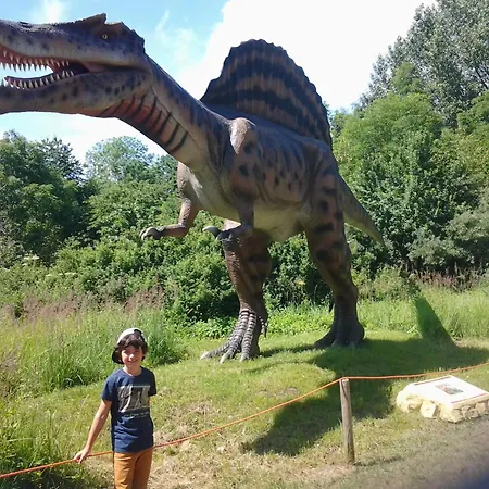 Strandhafer - Im Schwalzkiefernwald Zwischen Ostsee Und Bodden グロヴェ