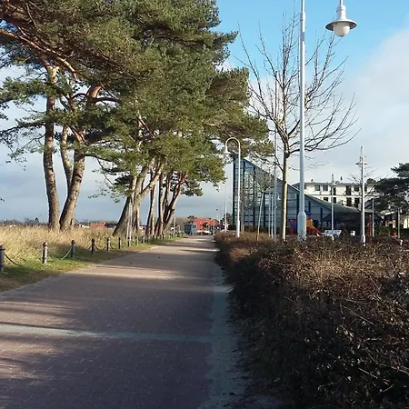 Strandhafer - Im Schwalzkiefernwald Zwischen Ostsee Und Bodden Lejlighed