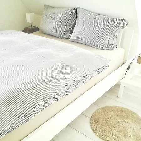 Strandhafer - Im Schwalzkiefernwald Zwischen Ostsee Und Bodden Lejlighed