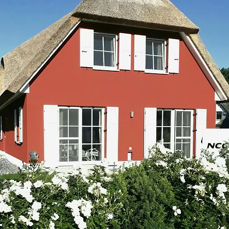 Lejlighed Strandhafer - Im Schwalzkiefernwald Zwischen Ostsee Und Bodden