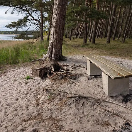 Strandhafer - Im Schwalzkiefernwald Zwischen Ostsee Und Bodden Lejlighed