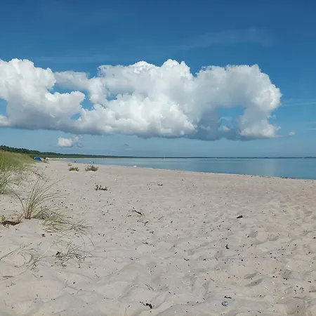 Strandhafer - Im Schwalzkiefernwald Zwischen Ostsee Und Bodden Lejlighed *