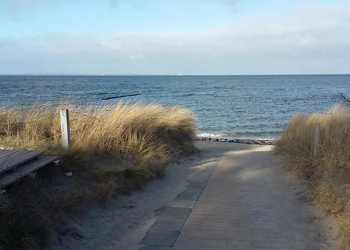 Strandhafer - Im Schwalzkiefernwald Zwischen Ostsee Und Bodden Apartament *