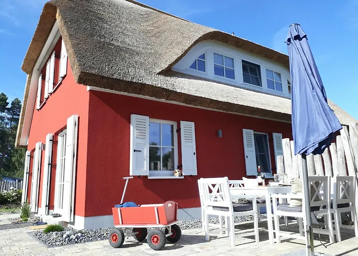 Strandhafer - Im Schwalzkiefernwald Zwischen Ostsee Und Bodden *
