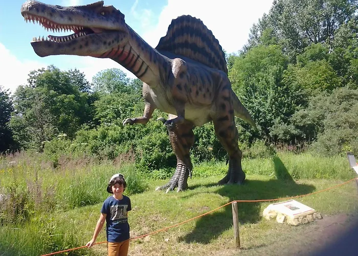 Strandhafer - Im Schwalzkiefernwald Zwischen Ostsee Und Bodden Glowe