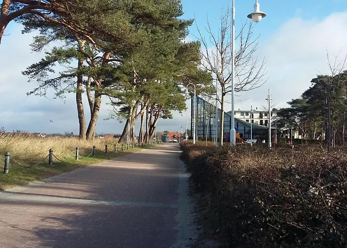 Strandhafer - Im Schwalzkiefernwald Zwischen Ostsee Und Bodden Apartament