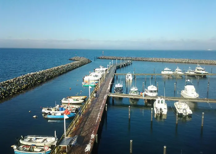 Strandhafer - Im Schwalzkiefernwald Zwischen Ostsee Und Bodden Apartament Glowe