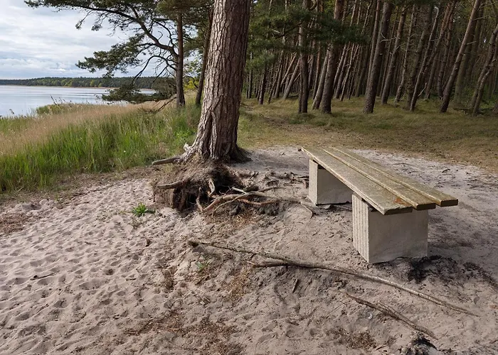Strandhafer - Im Schwalzkiefernwald Zwischen Ostsee Und Bodden Apartament