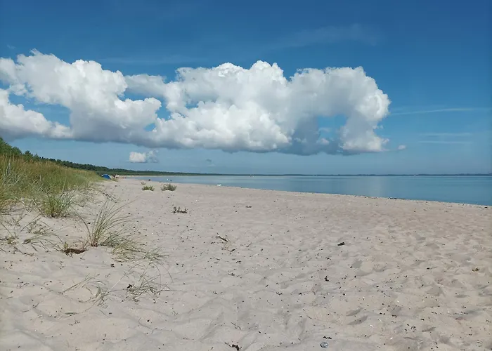 Strandhafer - Im Schwalzkiefernwald Zwischen Ostsee Und Bodden Apartament *